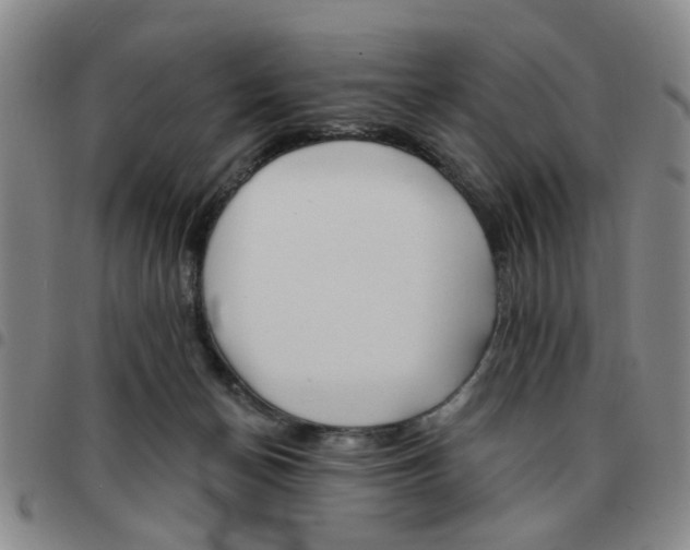 X0000097470174200803141920