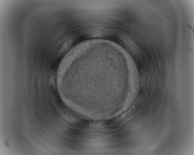 X0000097470175200803141920