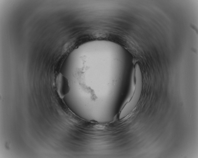 X0000097470176200803141921