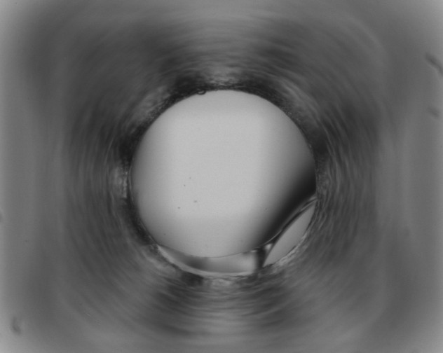 X0000097470180200803141921