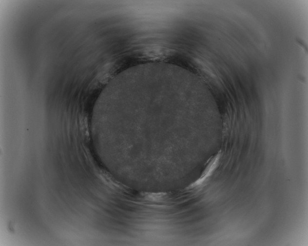 X0000097470182200803141921