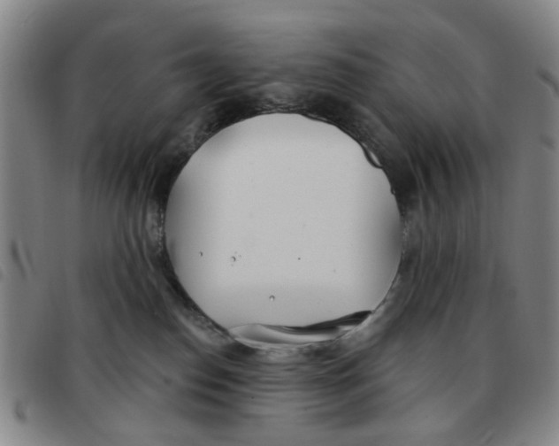 X0000097470186200803141921