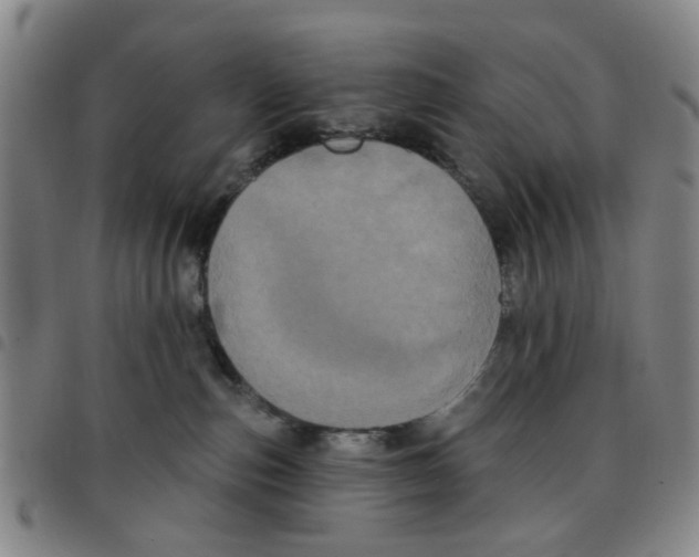 X0000097470187200803141921