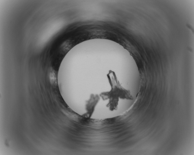 X0000097470191200803141921