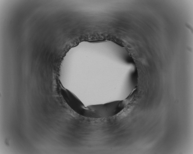 X0000097470192200803141921