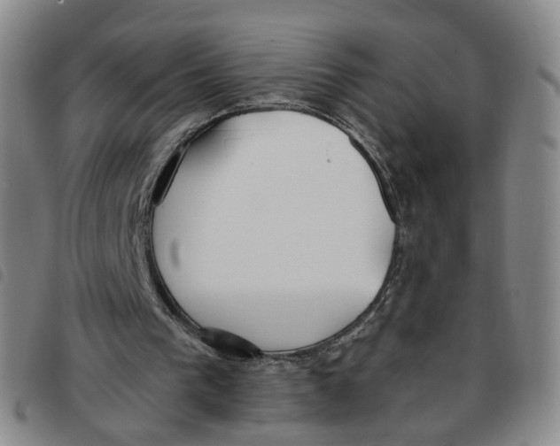 X0000097470193200803141920