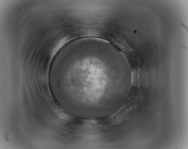 X0000097470195200803141920