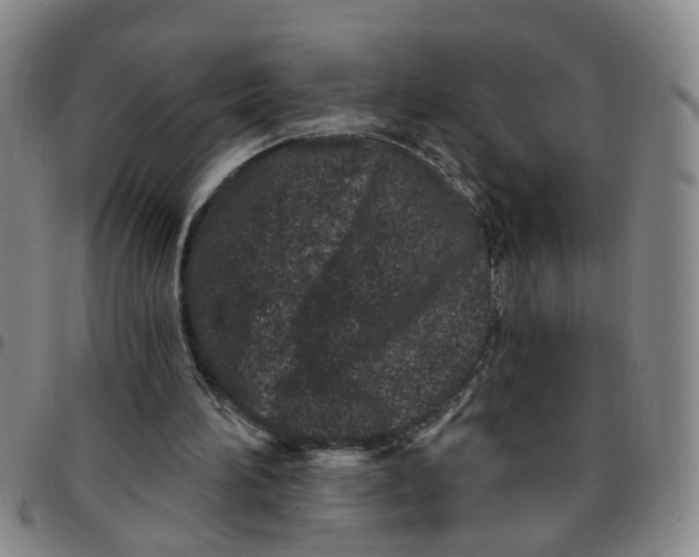 X0000097470196200803141920