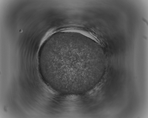 X0000097470198200803141920