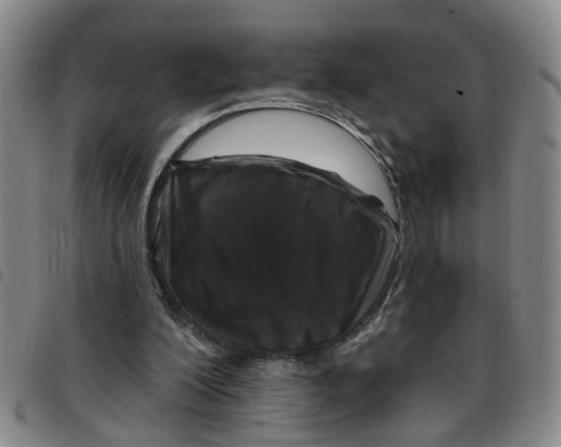 X0000097470200200803141920