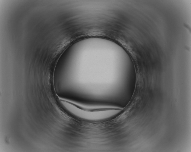 X0000097470201200803141920