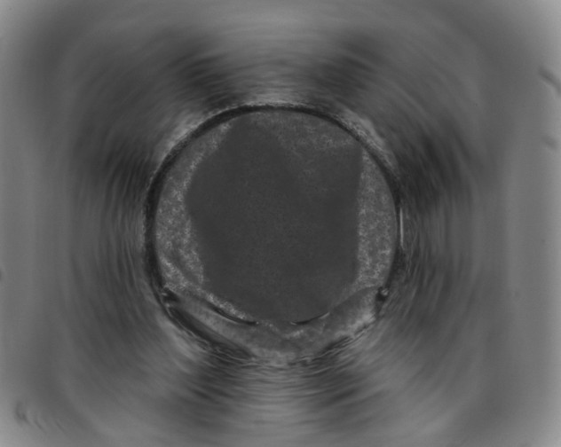 X0000097470204200803141920