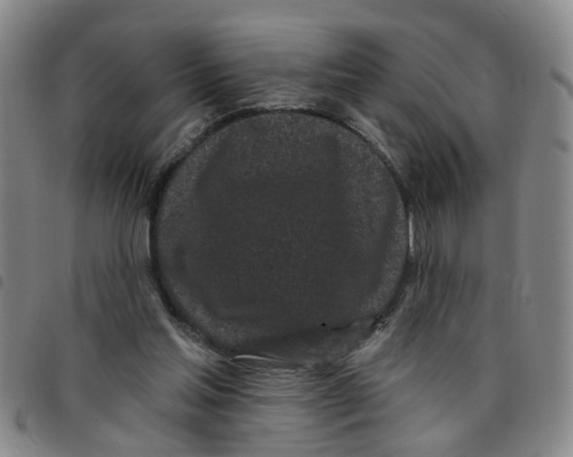 X0000097470205200803141920