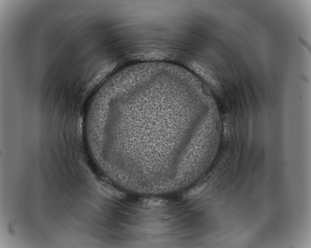 X0000097470206200803141920