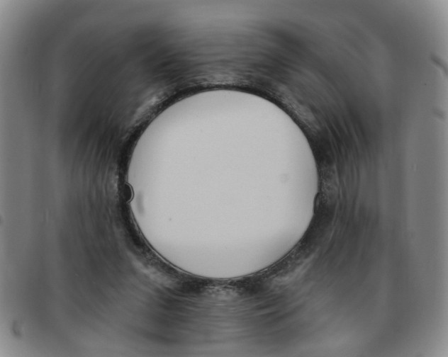 X0000097470207200803141920