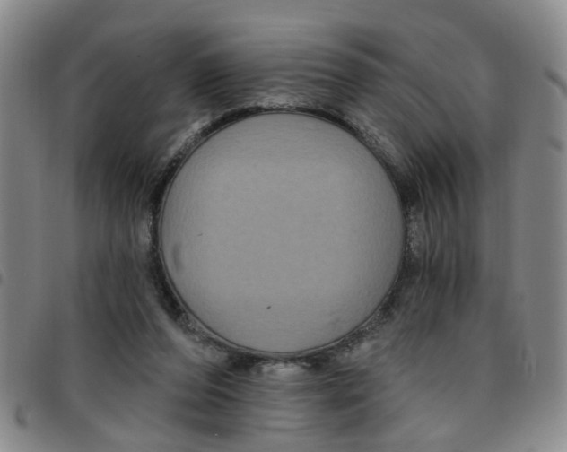 X0000097470208200803141920