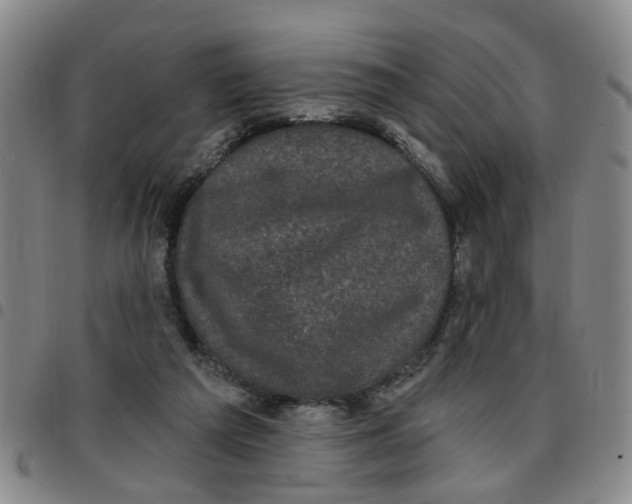 X0000097470209200803141920