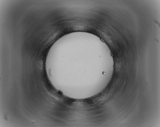 X0000097470211200803141920