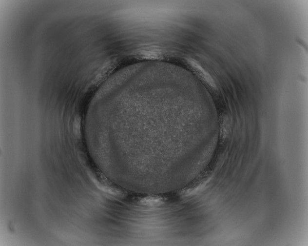 X0000097470213200803141920