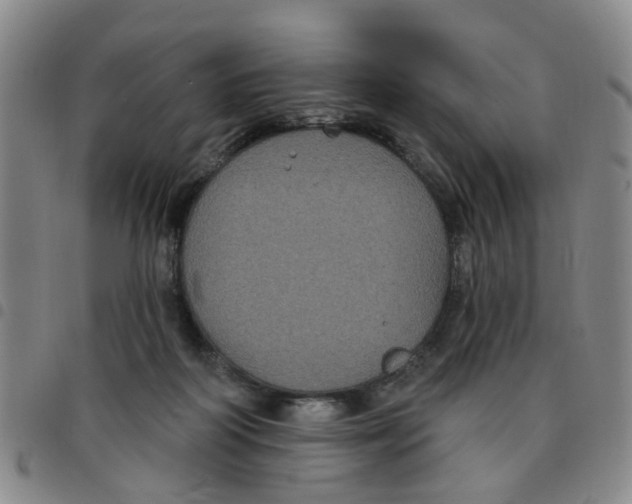 X0000097470218200803141920