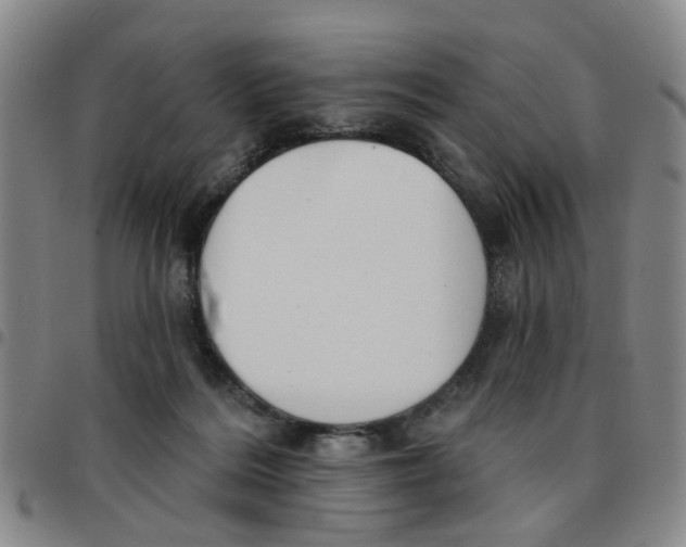 X0000097470220200803141920