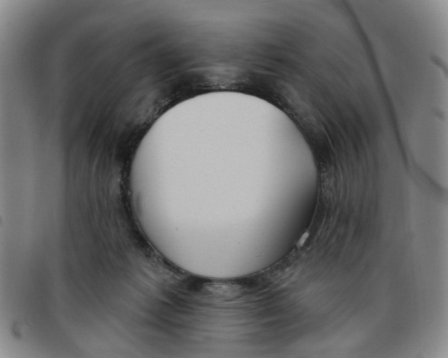 X0000097470221200803141920