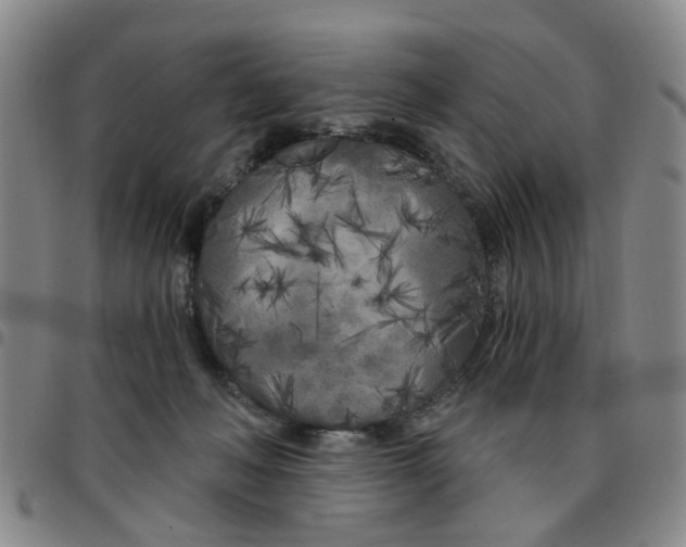 X0000097470222200803141920