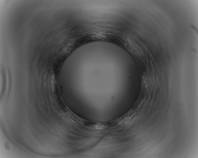 X0000097470223200803141920