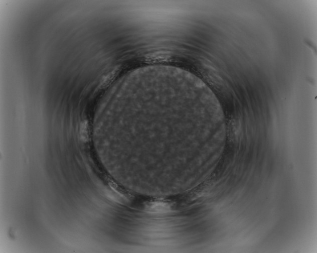 X0000097470224200803141920