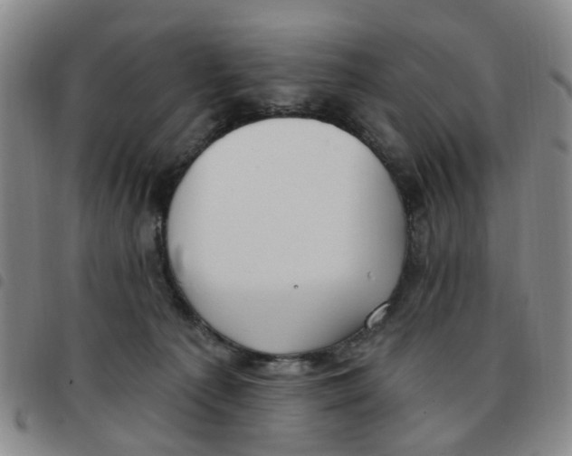 X0000097470225200803141920