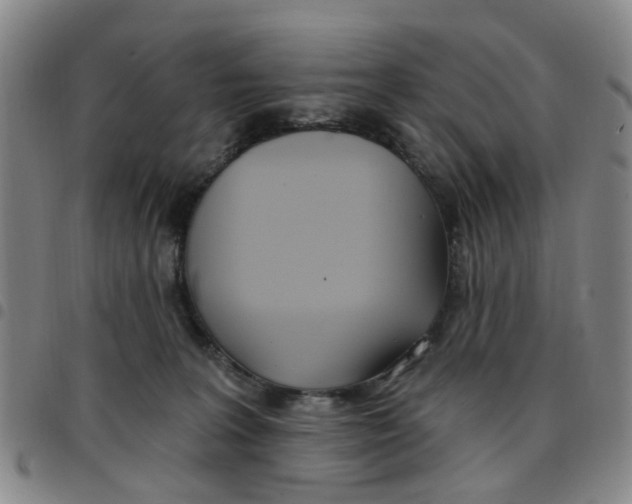 X0000097470227200803141920