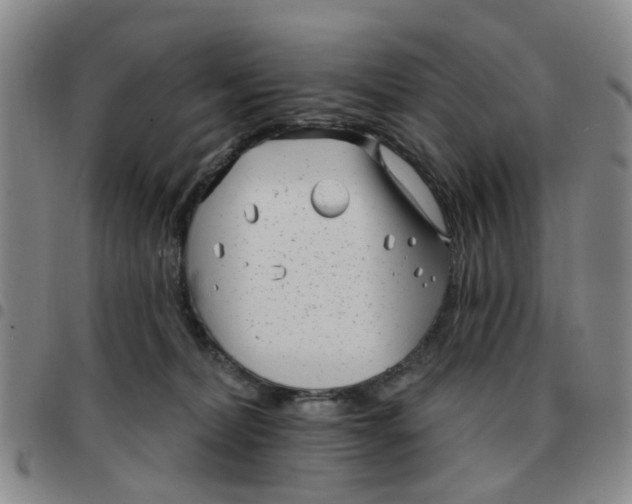 X0000097470228200803141920