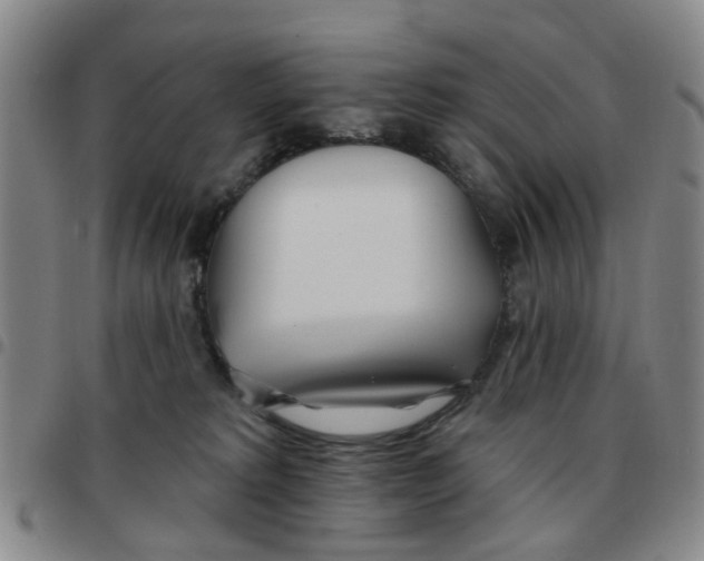 X0000097470229200803141920