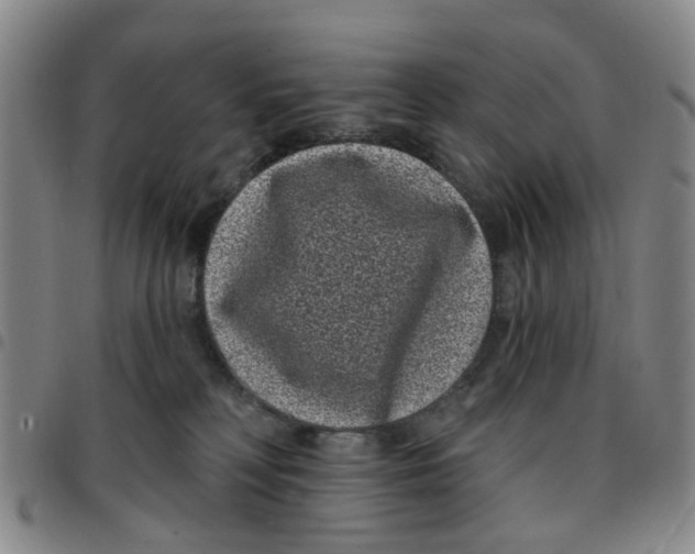 X0000097470230200803141920