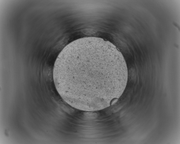 X0000097470234200803141920