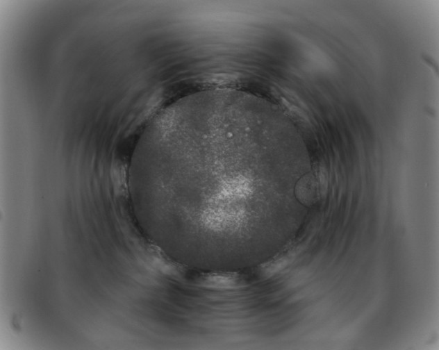 X0000097470236200803141919