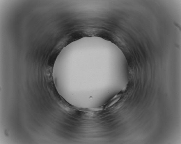 X0000097470237200803141919