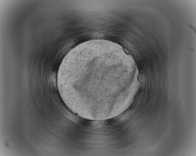X0000097470238200803141919