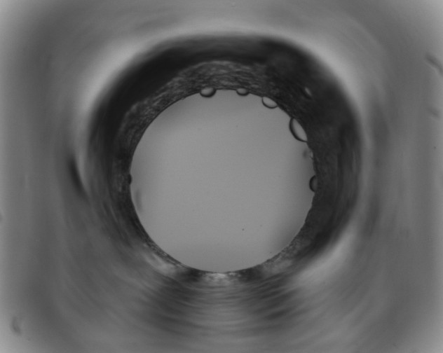 X0000097470239200803141919