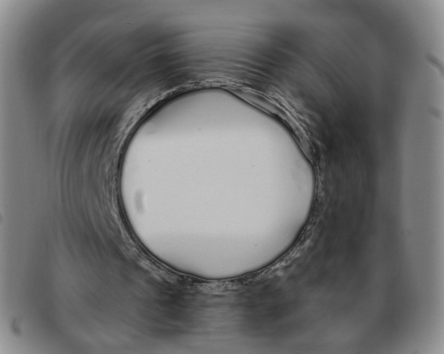X0000097470241200803141919