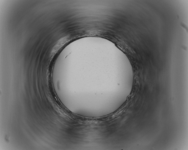 X0000097470242200803141919