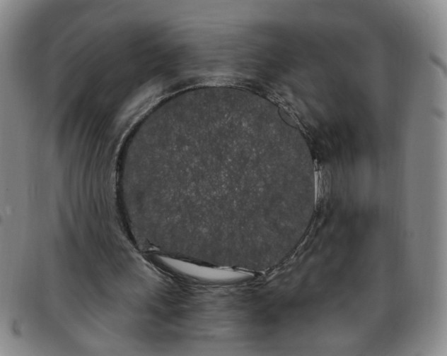 X0000097470243200803141919