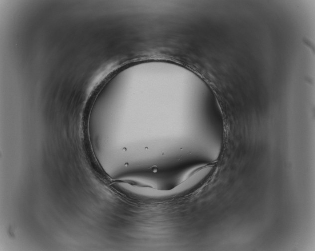 X0000097470248200803141919