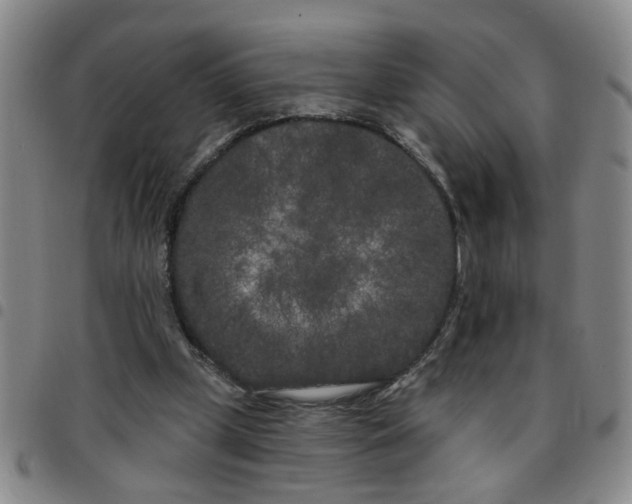 X0000097470249200803141919