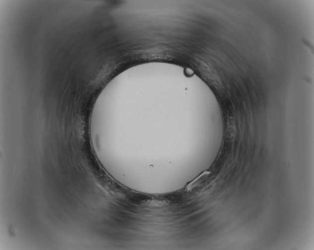 X0000097470255200803141919