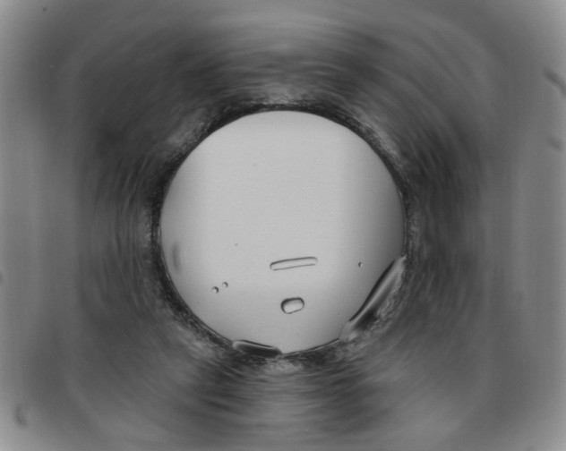 X0000097470257200803141919