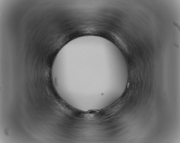 X0000097470265200803141919