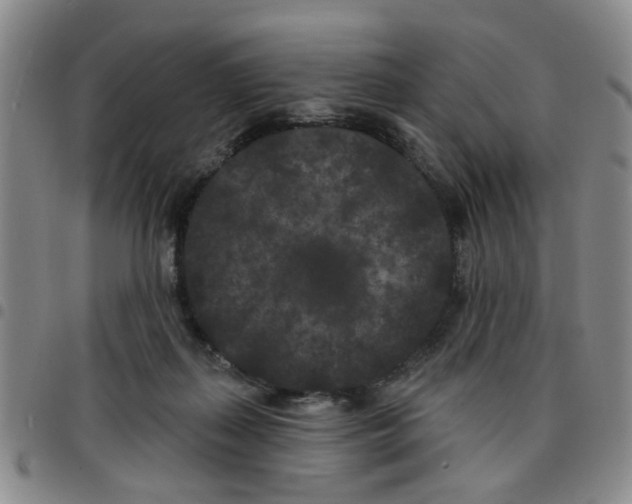 X0000097470267200803141919