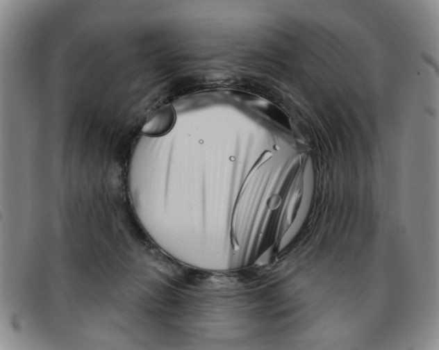 X0000097470270200803141919