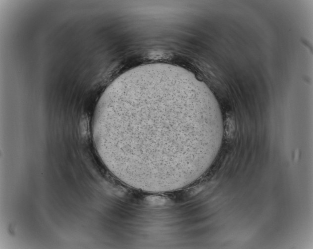 X0000097470272200803141919
